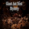 GIANT ANT NEST MYSTERY