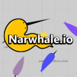 Narwhale.io