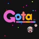 GOTA.IO