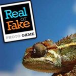 REAL OR FAKE Photo Game